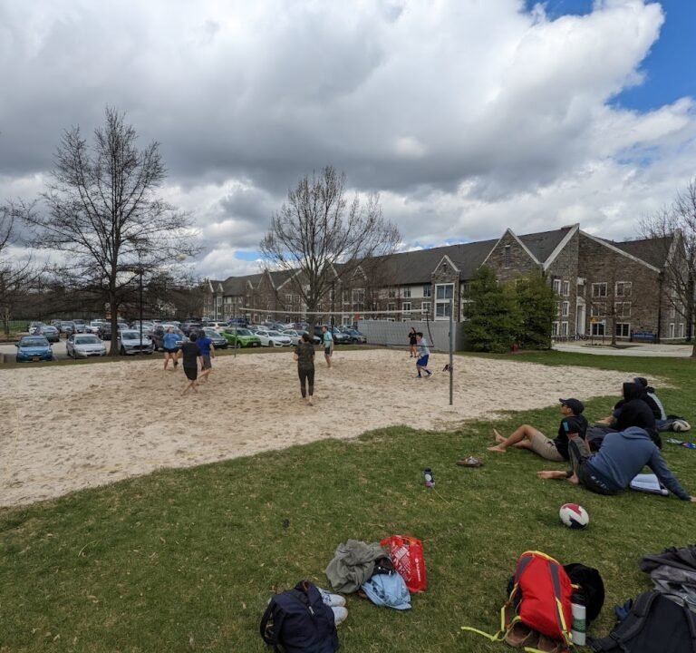 Soccer Field image 2