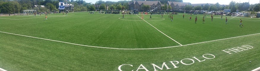 Soccer Field image 1