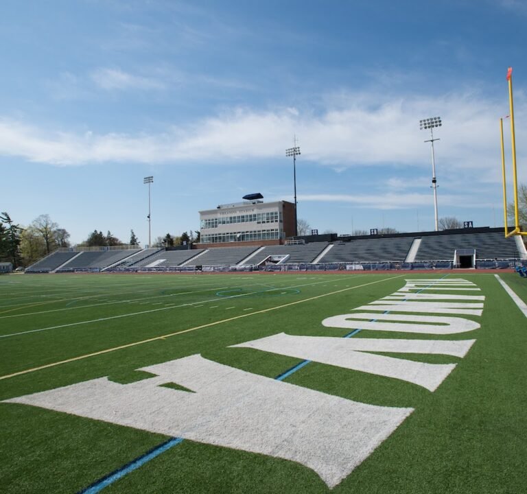 Soccer Field image 2