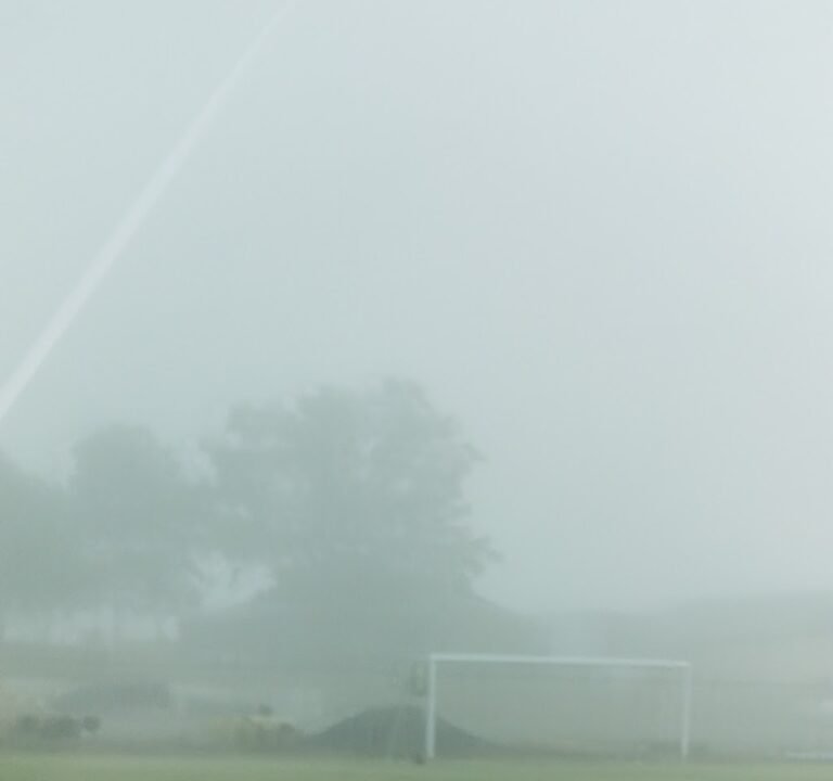Soccer Field image 3