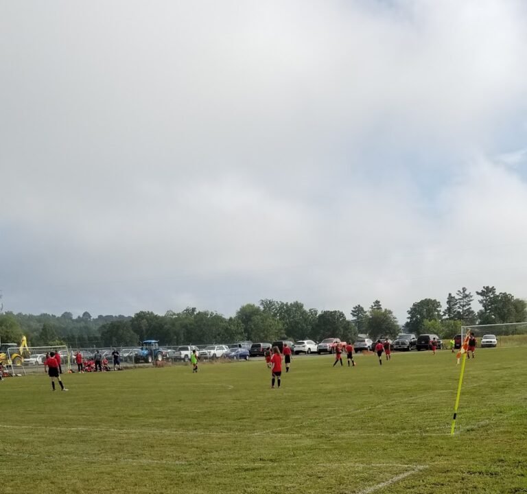 Soccer Field image 2