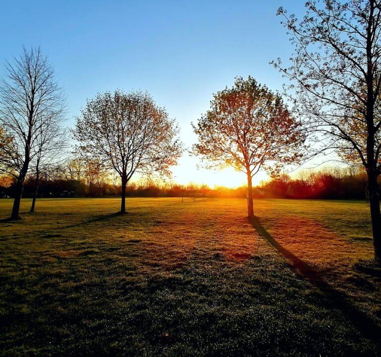 Soccer Field image 3