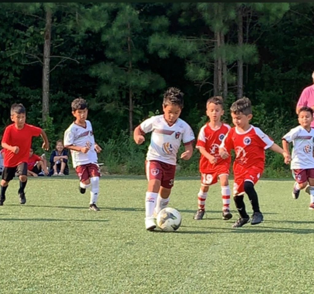 Soccer Field image 1