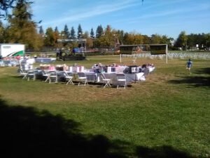 Soccer Field image 1