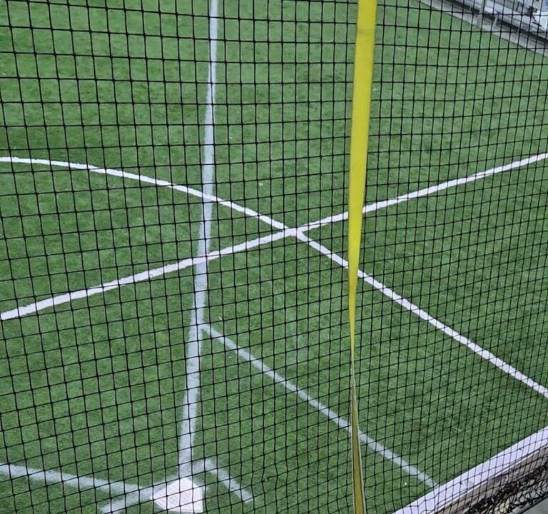 Soccer Field image 3