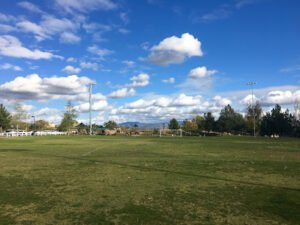 Soccer Field image 1