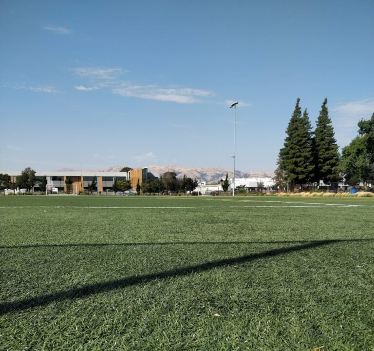 Soccer Field image 2