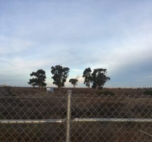 Soccer Field image 3