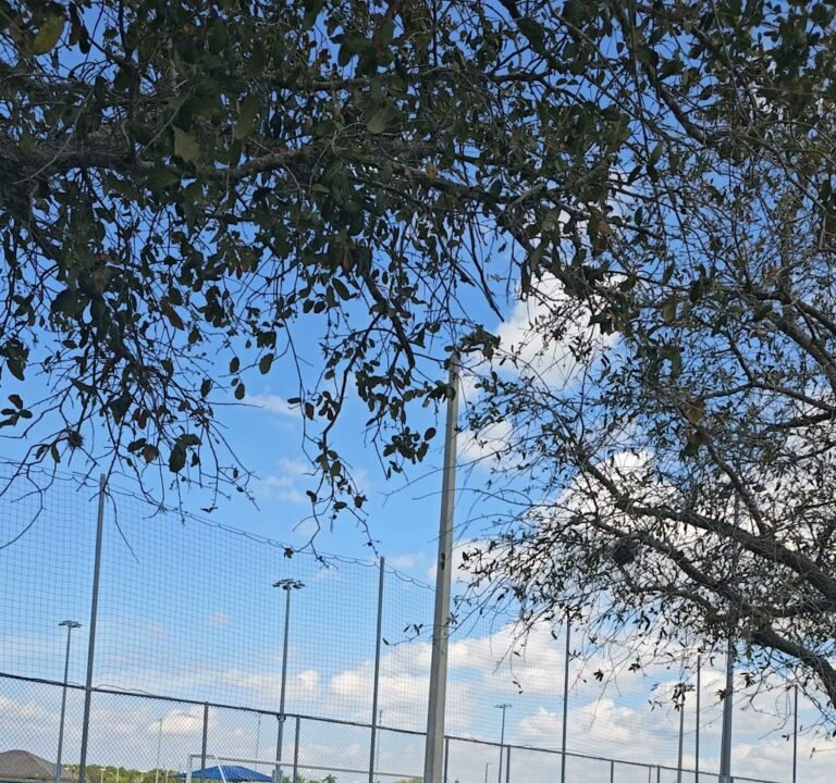 Soccer Field image 2