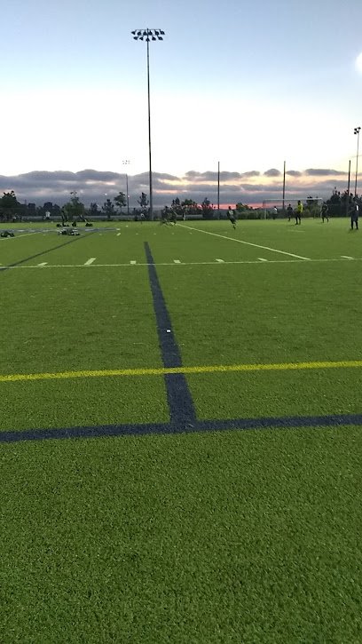 Soccer Field image 1