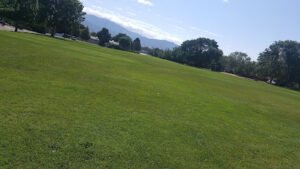 Soccer Field image 1