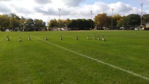 Soccer Field image 1