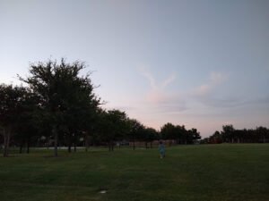 Soccer Field image 1