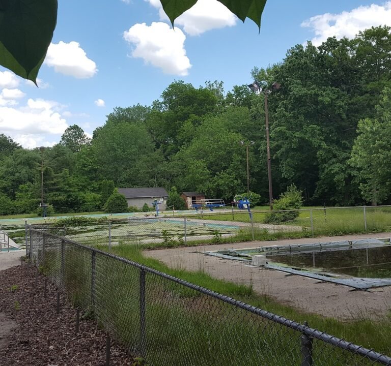 Soccer Field image 2