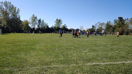 Soccer Field image 1
