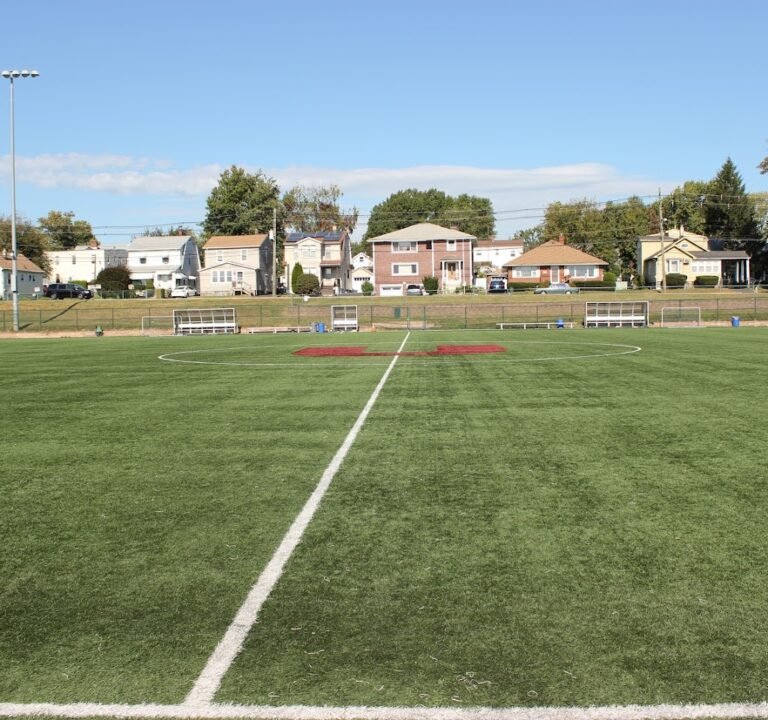 Soccer Field image 2
