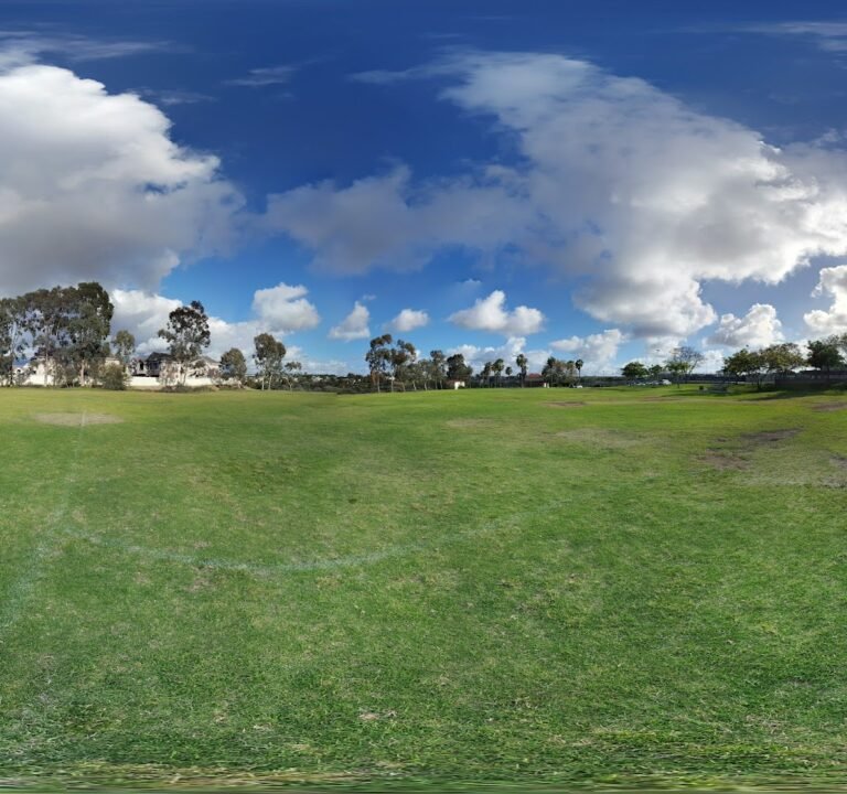 Soccer Field image 3