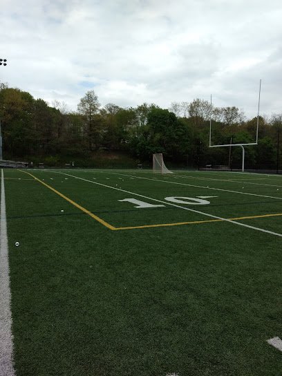Soccer Field image 1
