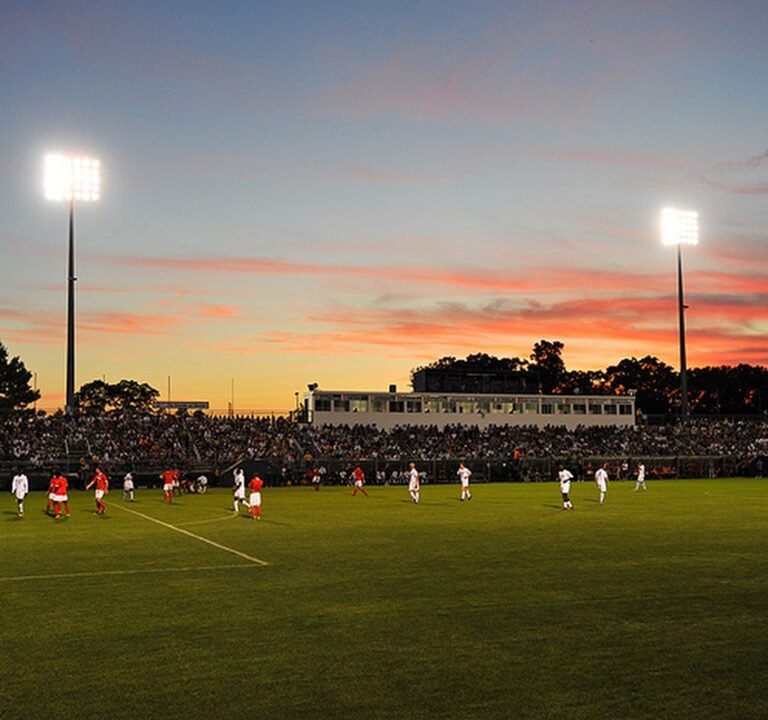 Soccer Field image 2