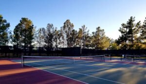 Soccer Field image 1