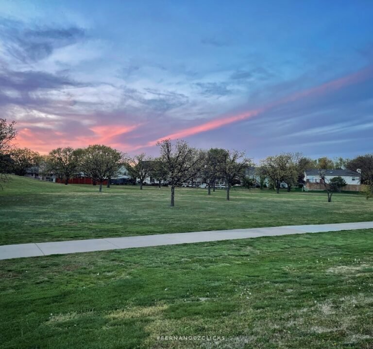 Soccer Field image 2