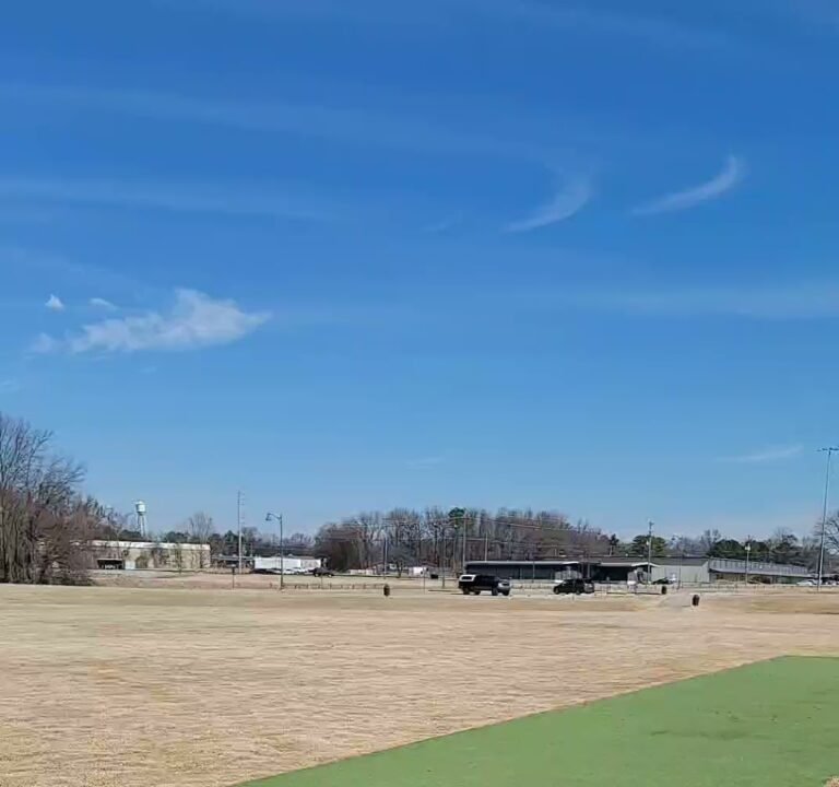 Soccer Field image 4