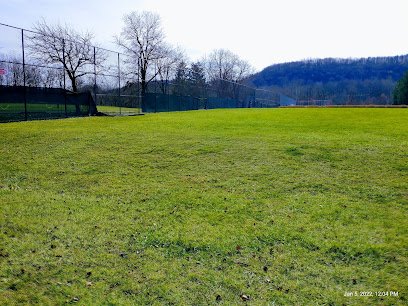 Soccer Field image 1