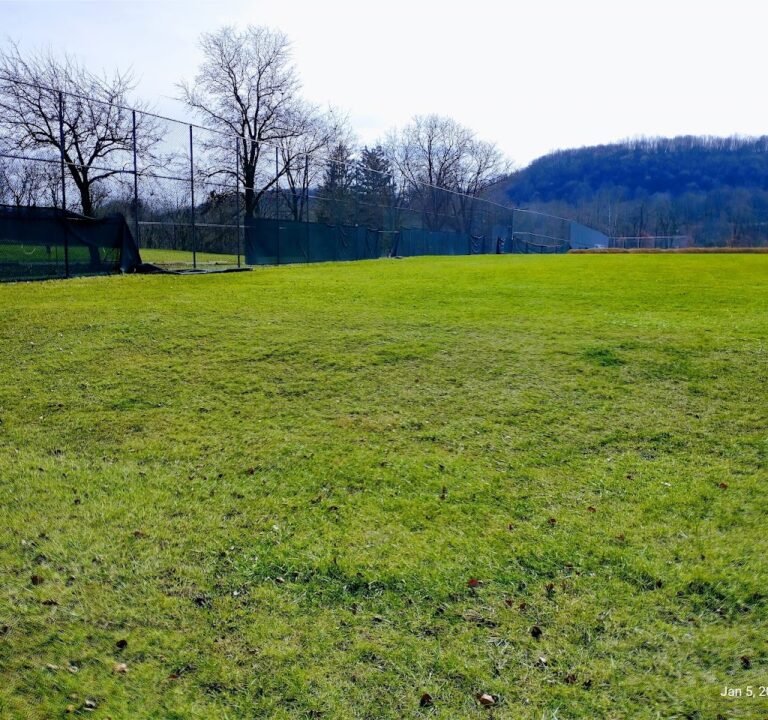 Soccer Field image 2