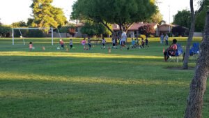 Soccer Field image 1