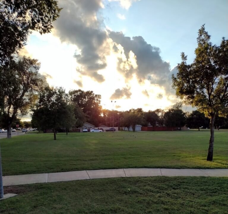 Soccer Field image 2