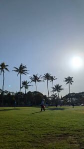 Soccer Field image 1