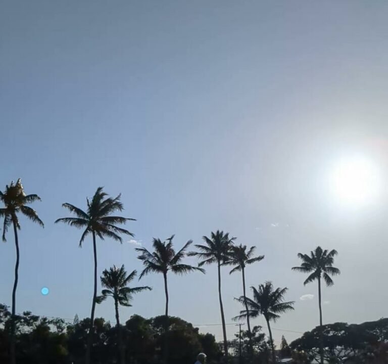 Soccer Field image 2