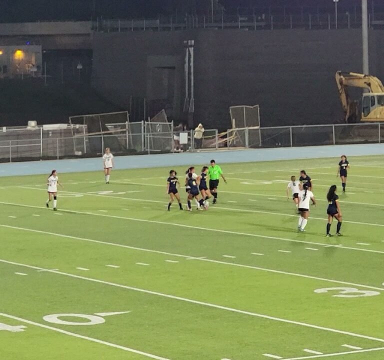 Soccer Field image 3