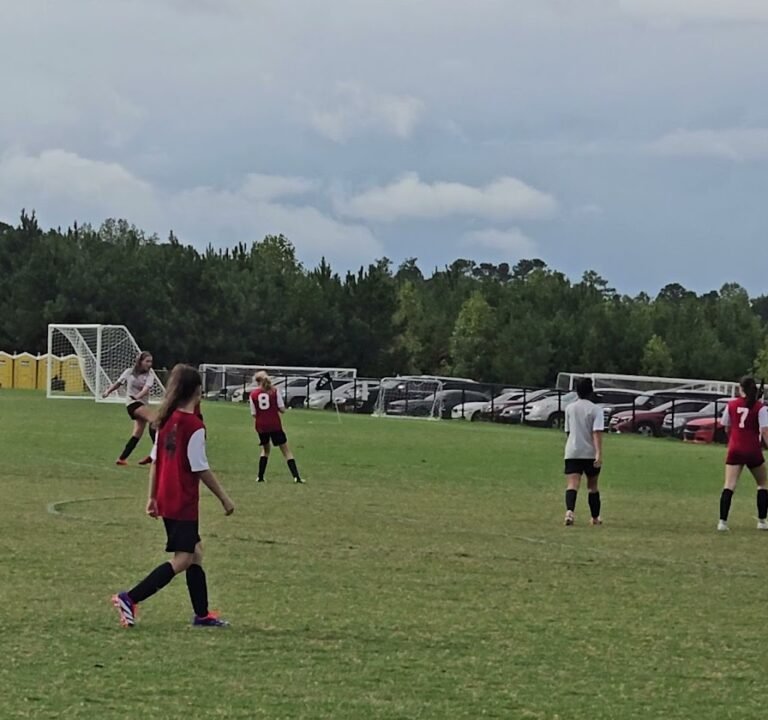 Soccer Field image 3