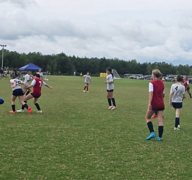 Soccer Field image 2