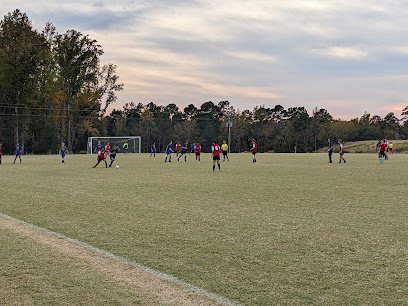 Soccer Field image 1