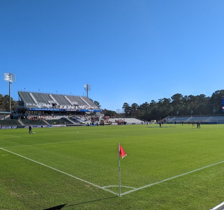 Soccer Field image 2