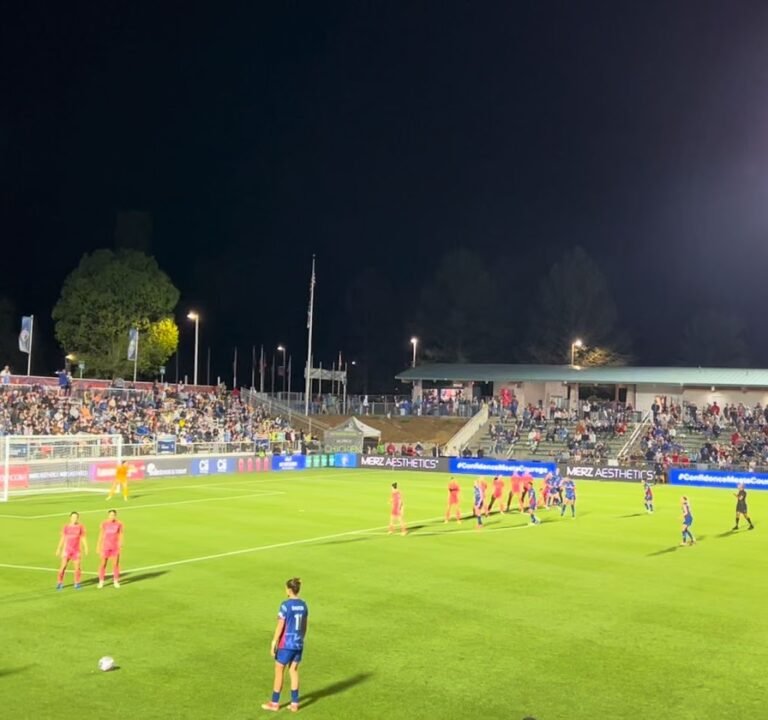 Soccer Field image 4