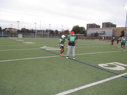 Soccer Field image 1