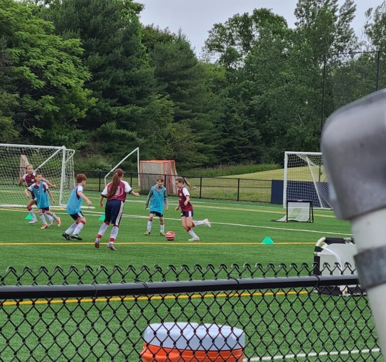 Soccer Field image 3