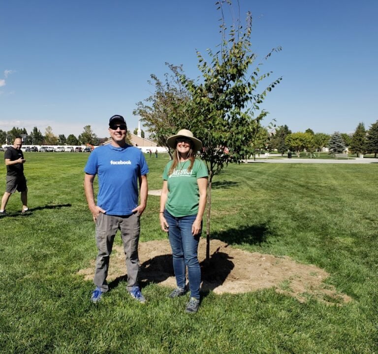 Soccer Field image 2