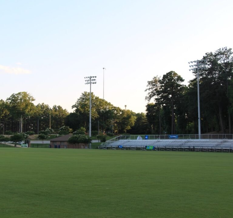 Soccer Field image 3