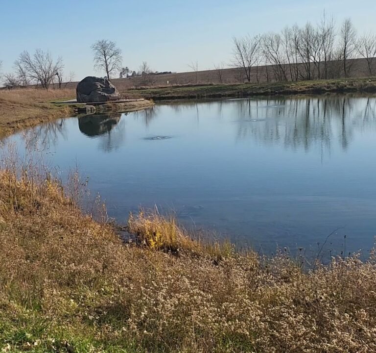 Soccer Field image 3