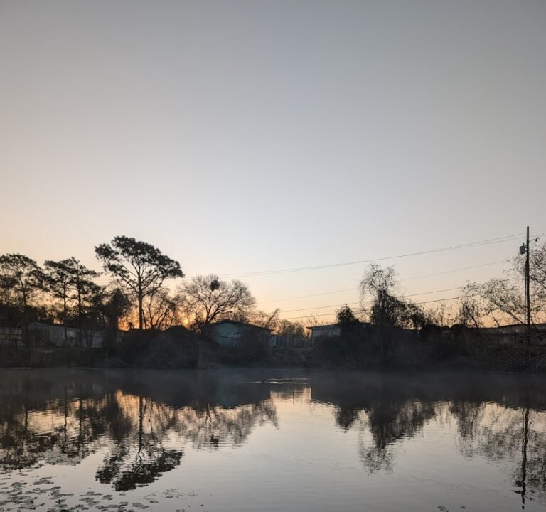 Soccer Field image 2