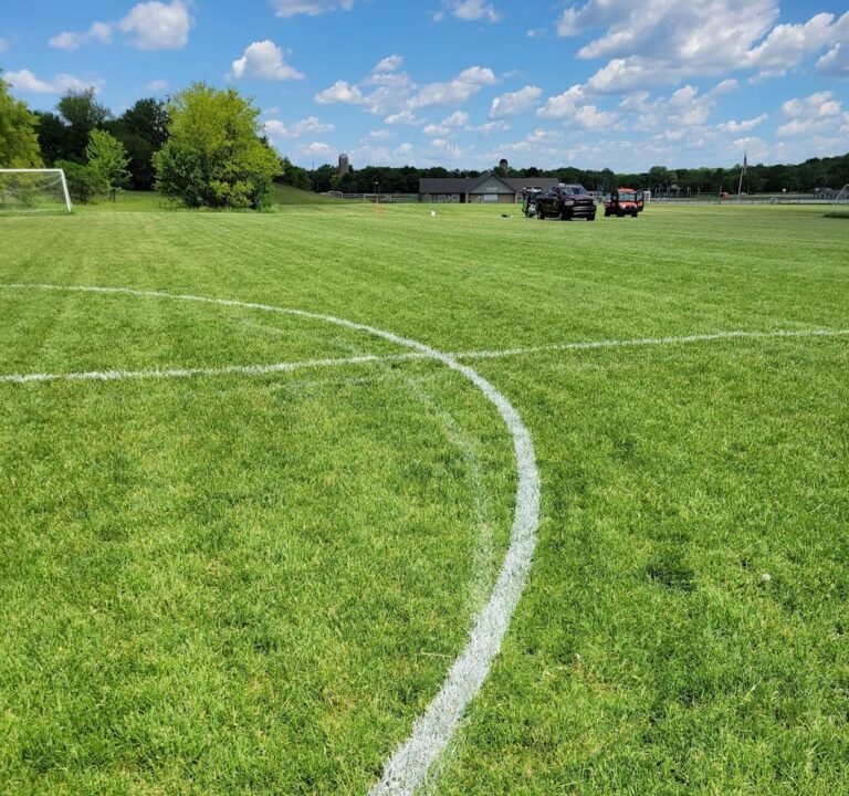 Soccer Field image 2