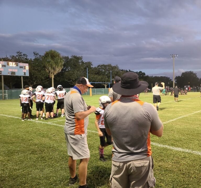 Soccer Field image 2