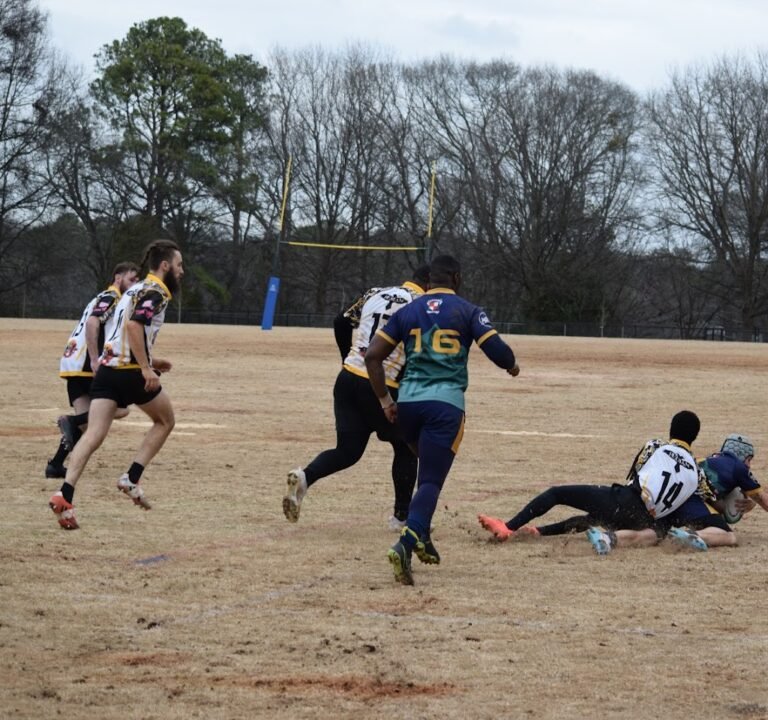 Soccer Field image 2