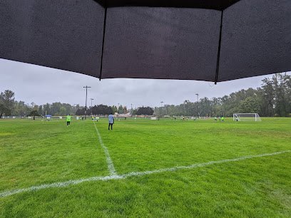 Soccer Field image 1