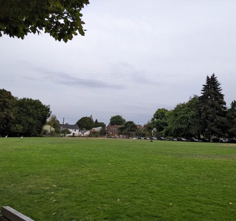 Soccer Field image 3