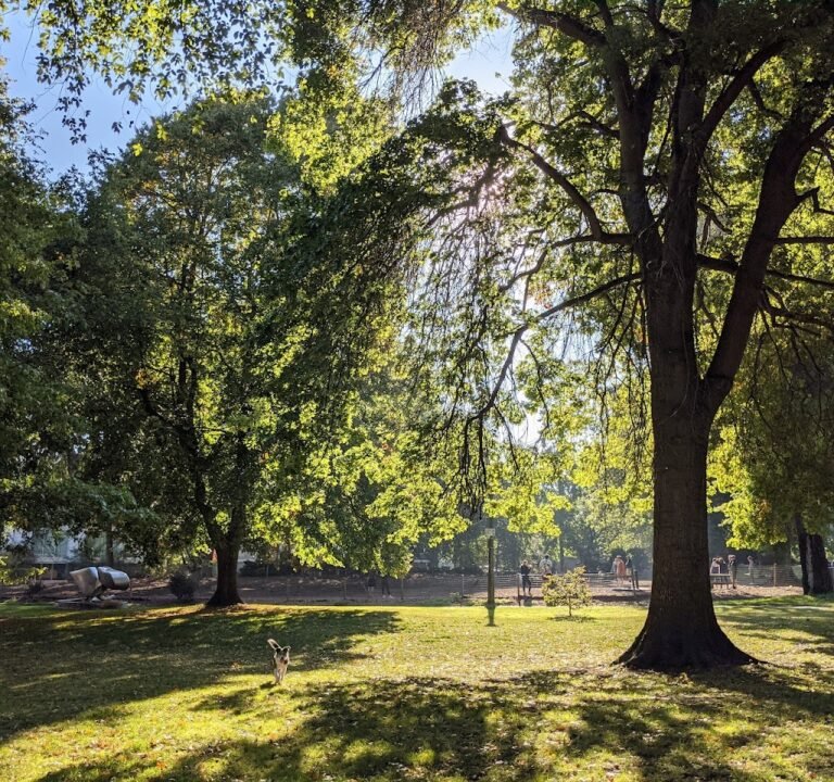 Soccer Field image 2